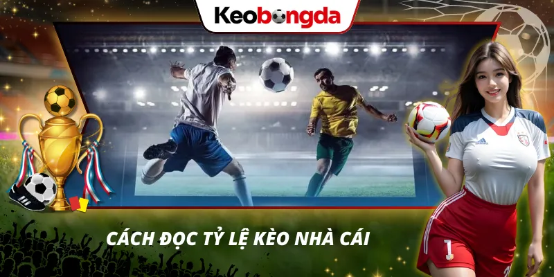 Kèo bóng đá Hướng dẫn đọc tỷ lệ cược chuẩn cho bet thủ mới