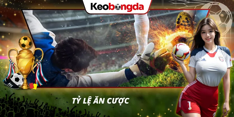 Kèo bóng đá Hiểu đúng về tỷ lệ tiền cược thu được khi vào chuẩn kèo