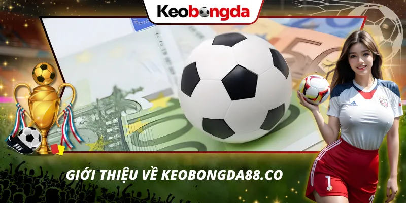 Kèo bóng đá Tổng quan trang soi kèo uy tín Kèo Bóng Đá