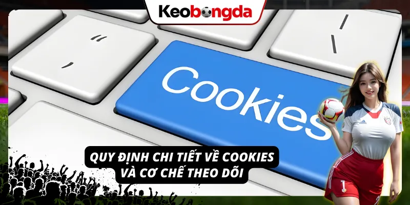 Chính Sách Bảo Mật - Tiêu Chuẩn An Toàn Dữ Liệu Kèo Bóng Đá Những quy định trong chính sách bảo mật