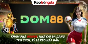 DOM88