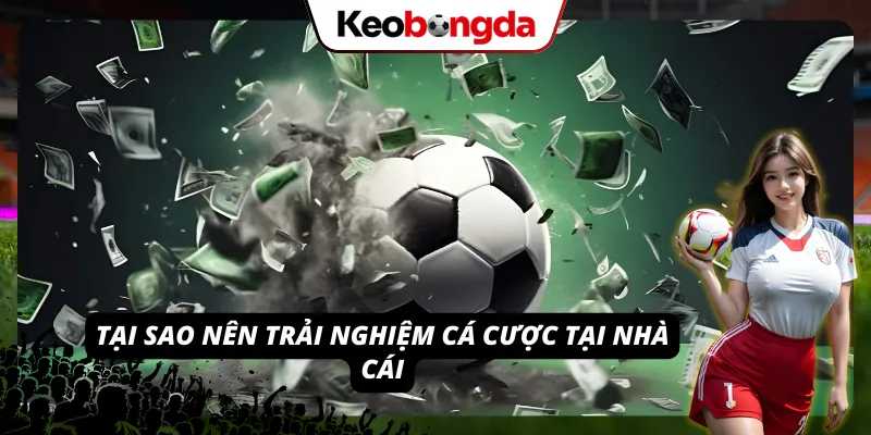 Những lợi thế tạo sự thu hút hội viên của hệ thống cá cược 