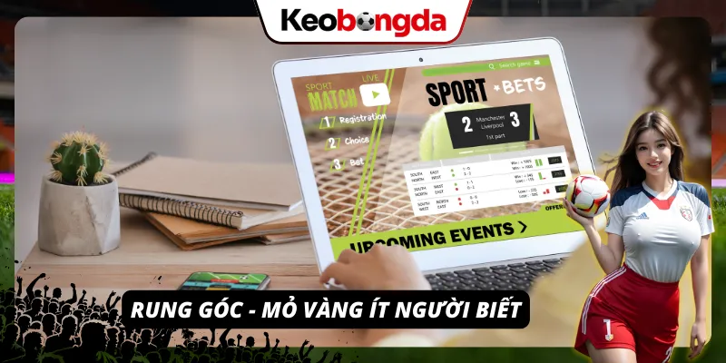 Kèo Rung Góc - Mỏ vàng vô cùng to mà ít người biết