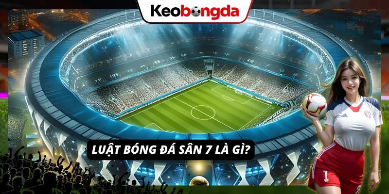 Kiến thức nền tảng mà người chơi cần nắm về luật sân 7