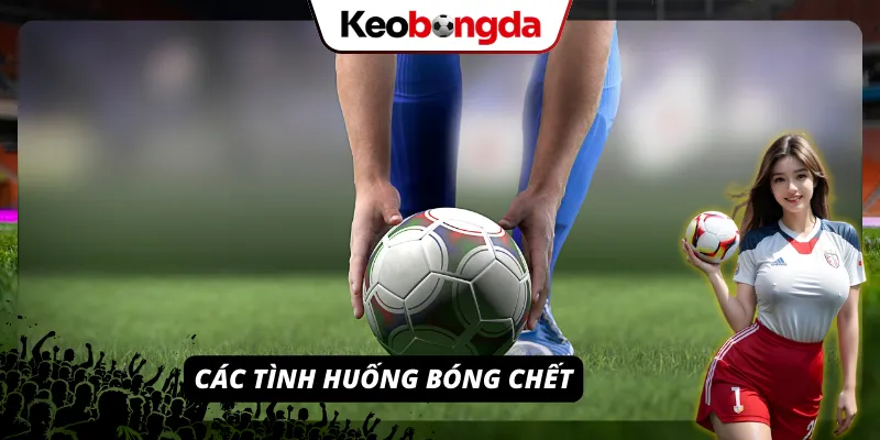 Tình huống ném biên