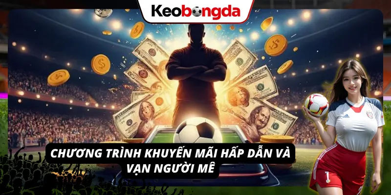 3 ưu đãi 8LIVE hot nhất 2026