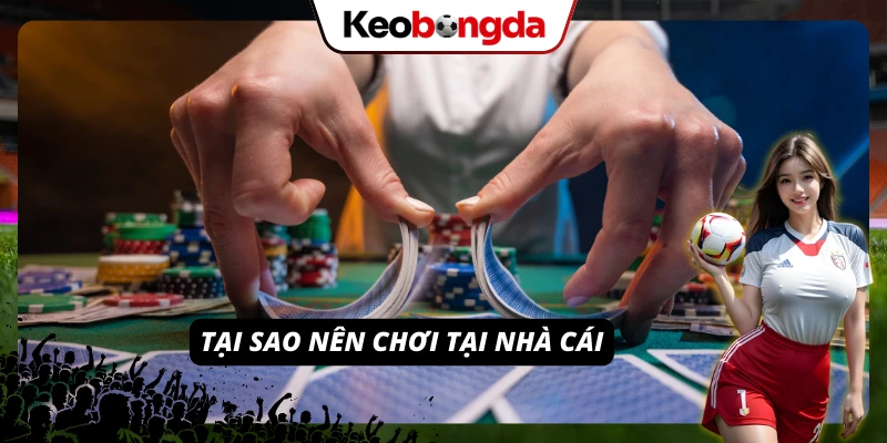 Lý do bạn nên cá cược tại RED88