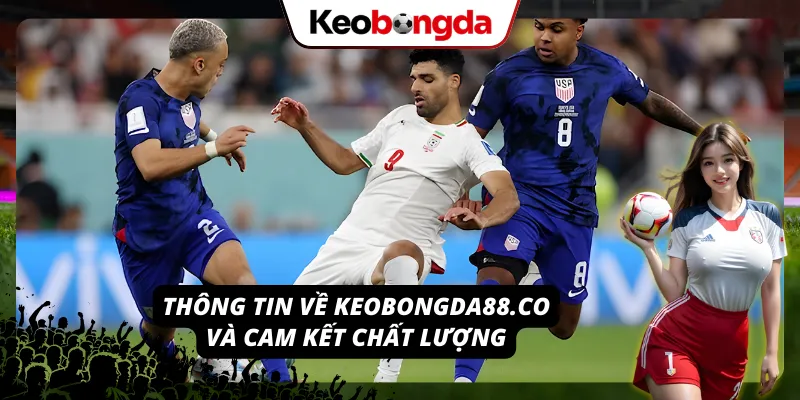 Về Chúng Tôi – Chuyên Trang Kèo Bóng Đá Tuyệt Đối Chất Lượng Cam kết chất lượng và minh bạch về chúng tôi – Keobongda88.co